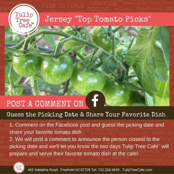 Jersey “Top Tomato Picks”